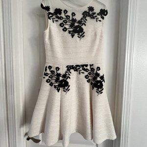 Taylor A-line Ivory Embroidery Dress
